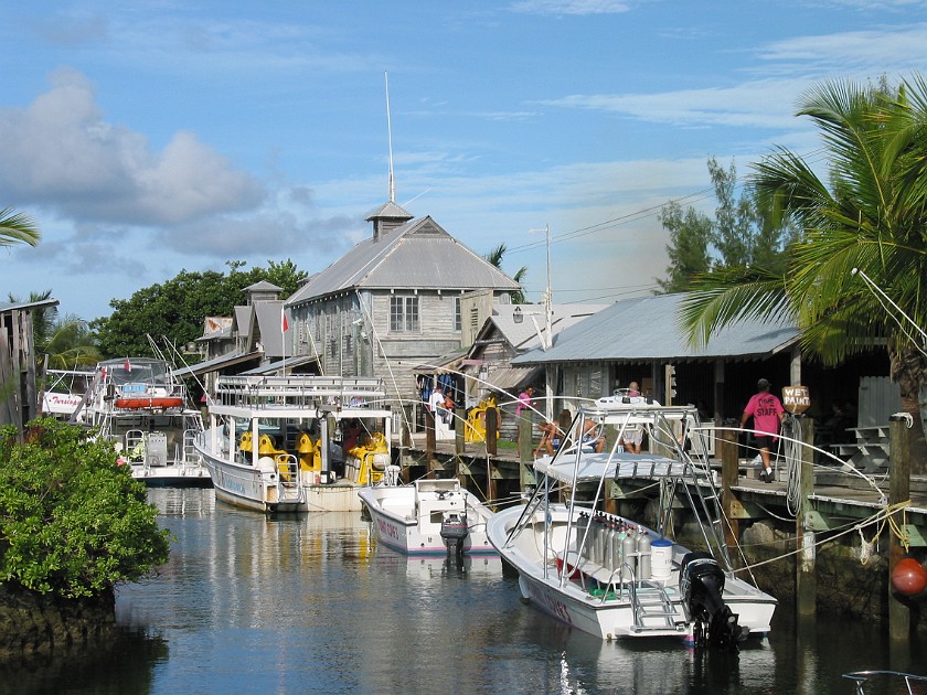 Stuart Cove's Dive Center. Dive Center. South Ocean. .