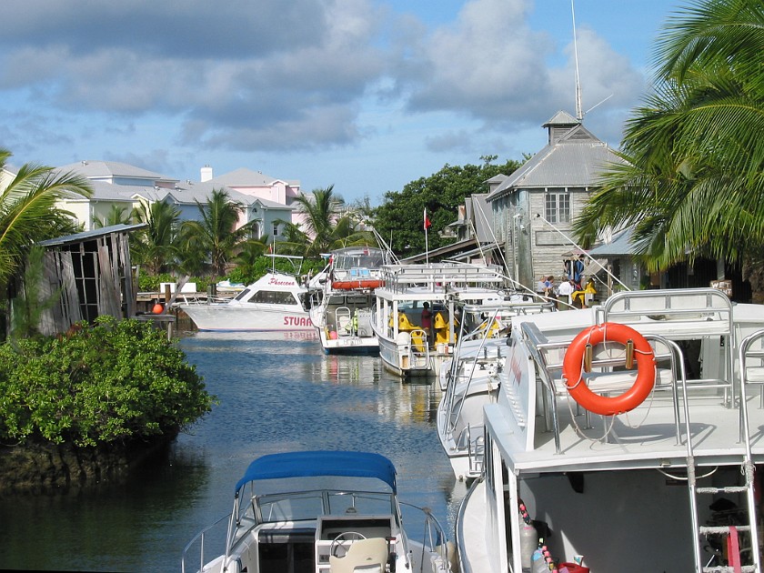 Stuart Cove's Dive Center. Dive Center. South Ocean. .