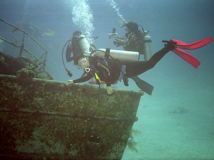 Diving South of New Providence Island. Dive. New Providence Island. .