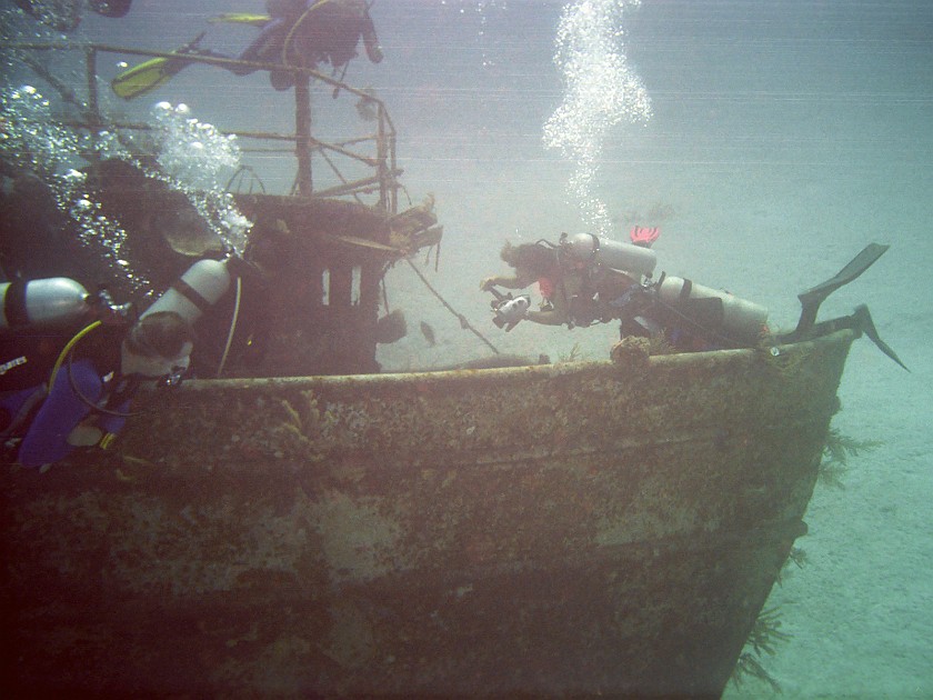 Diving South of New Providence Island. Dive. New Providence Island. .
