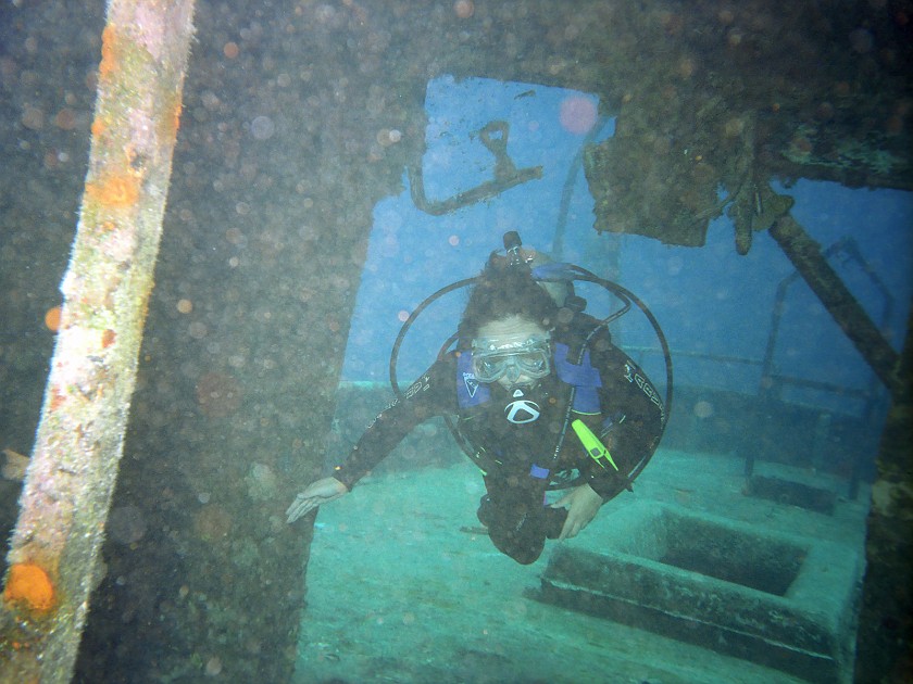Diving South of New Providence Island. Dive. New Providence Island. .