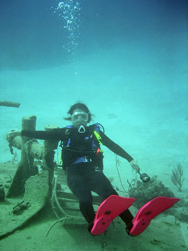 Diving South of New Providence Island. Dive. New Providence Island. .