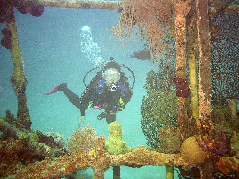Diving South of New Providence Island. Dive. New Providence Island. .