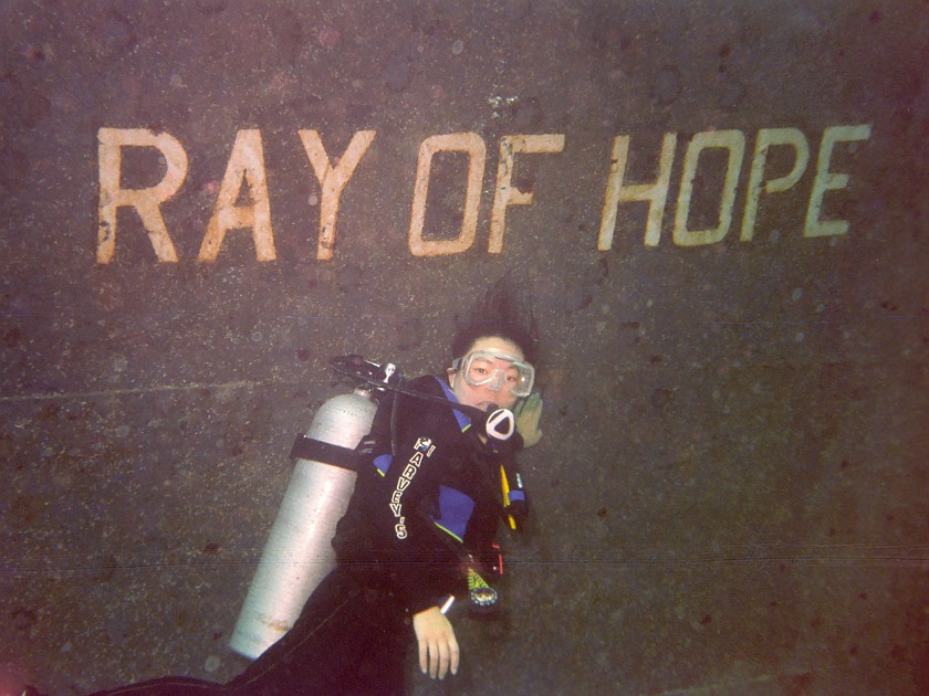 The Shark-Feeding Dive. Dive. New Providence Island. .