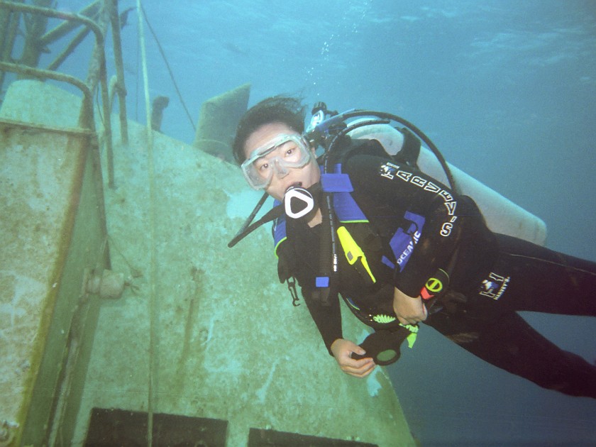 The Shark-Feeding Dive. Dive. New Providence Island. .