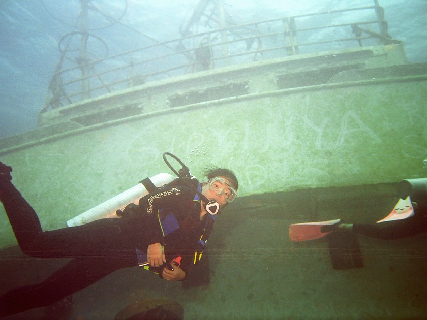 The Shark-Feeding Dive. Dive. New Providence Island. .