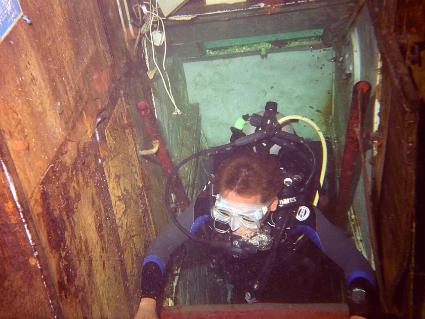 The Shark-Feeding Dive. Dive. New Providence Island. .