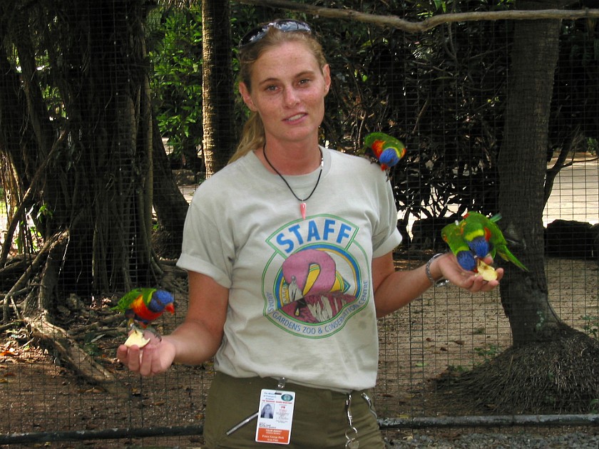 Ardastra Gardens. Inside the Parrot Cage. Nassau. .