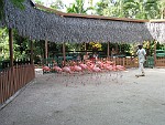 BAHA069
