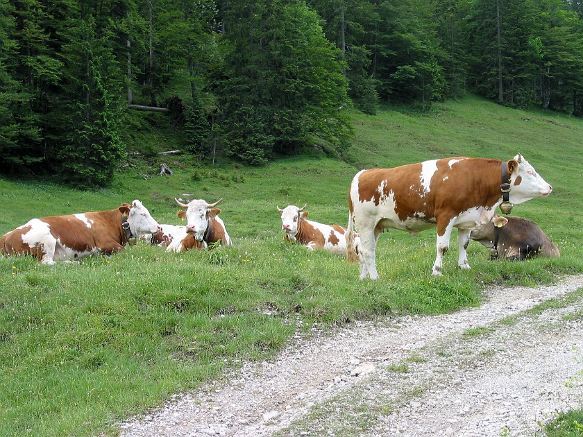 Hiking Near the Isar Valley. Rißsattel. near München. .