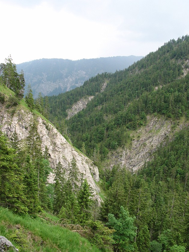 Hiking Near the Isar Valley. Staffelgraben. near München. .
