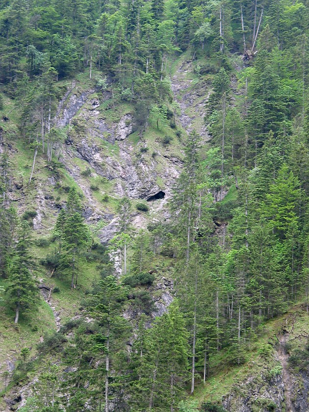 Hiking Near the Isar Valley. Staffelgraben. near München. .
