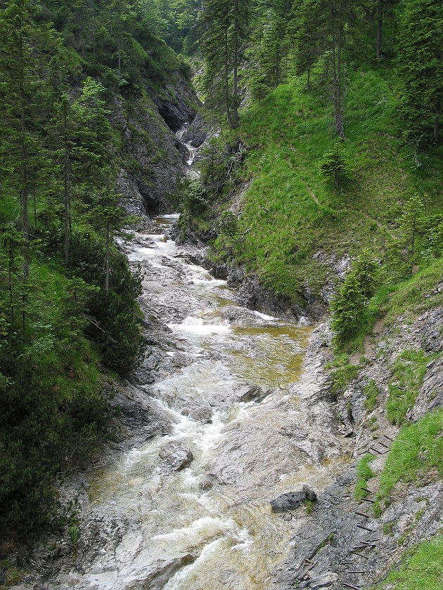 Hiking Near the Isar Valley. Staffelgraben. near München. .