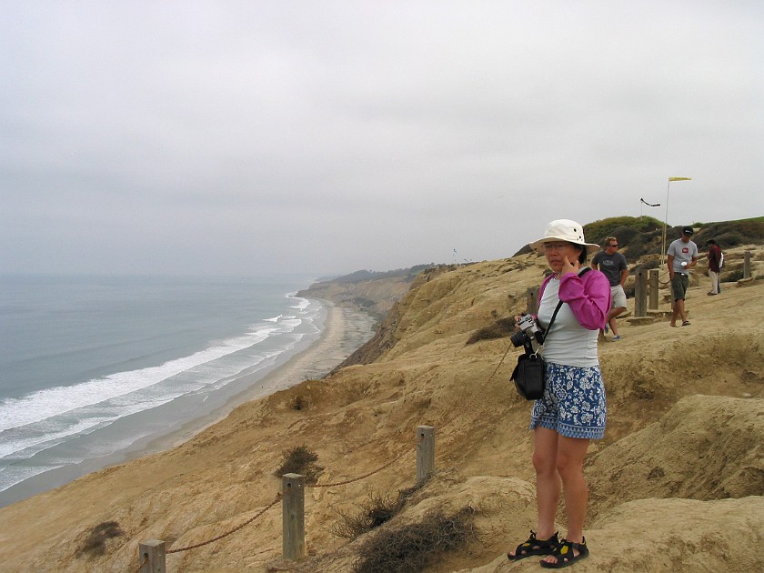 Torrey Pines State Reserve. Beach. near San Diego. .