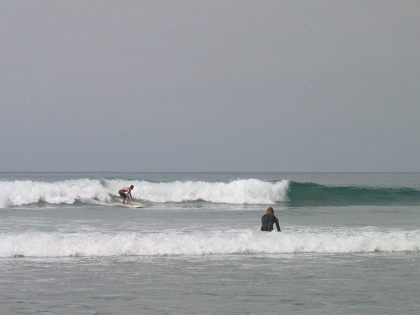 Torrey Pines State Reserve. Beach. near San Diego. .