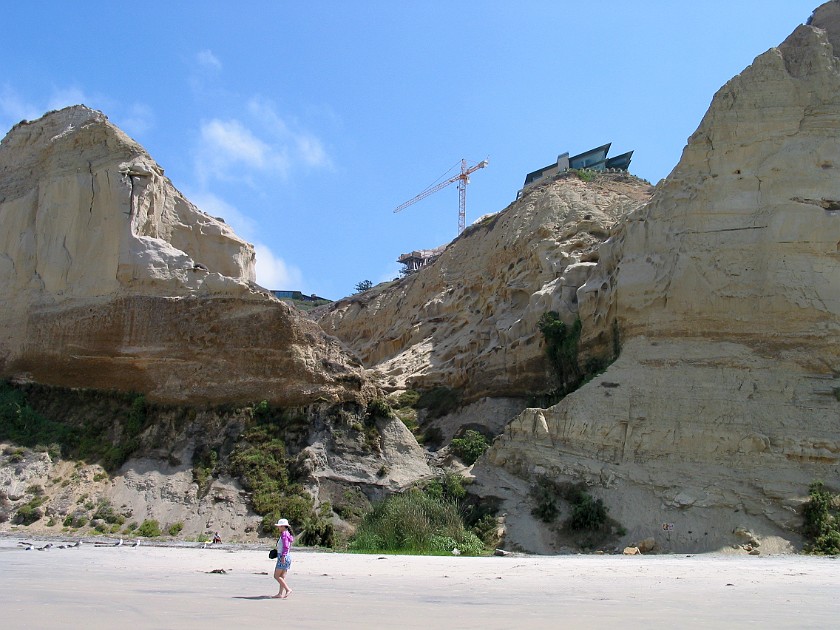 Torrey Pines State Reserve. Beach. near San Diego. .