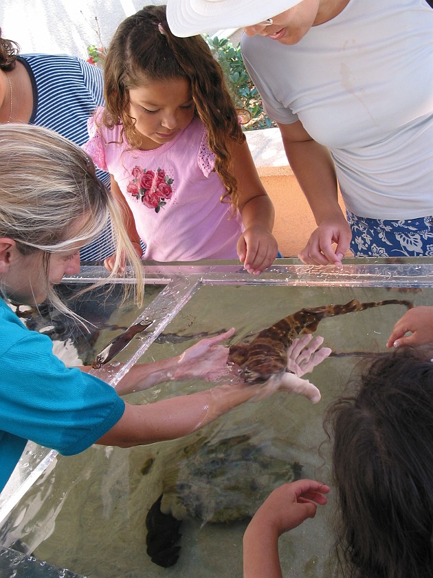 Birch Aquarium at the Scripps Institution of Oceanography. Pool. San Diego. .