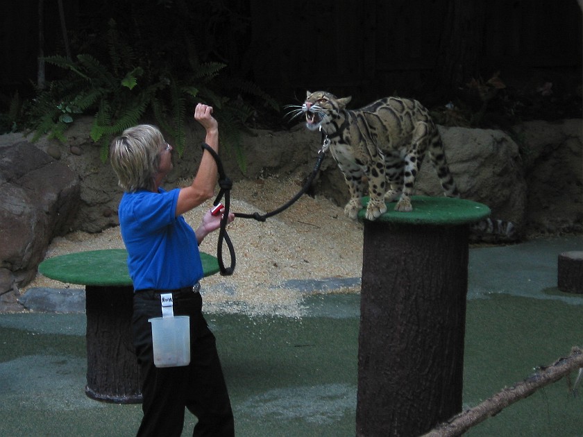 San Diego Zoo. Animal Show. San Diego. .