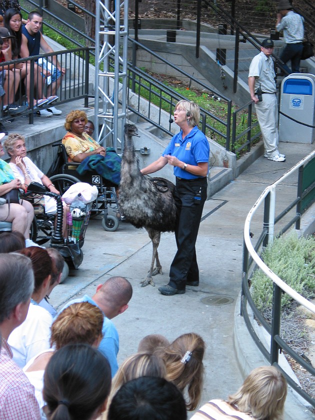 San Diego Zoo. Animal Show. San Diego. .