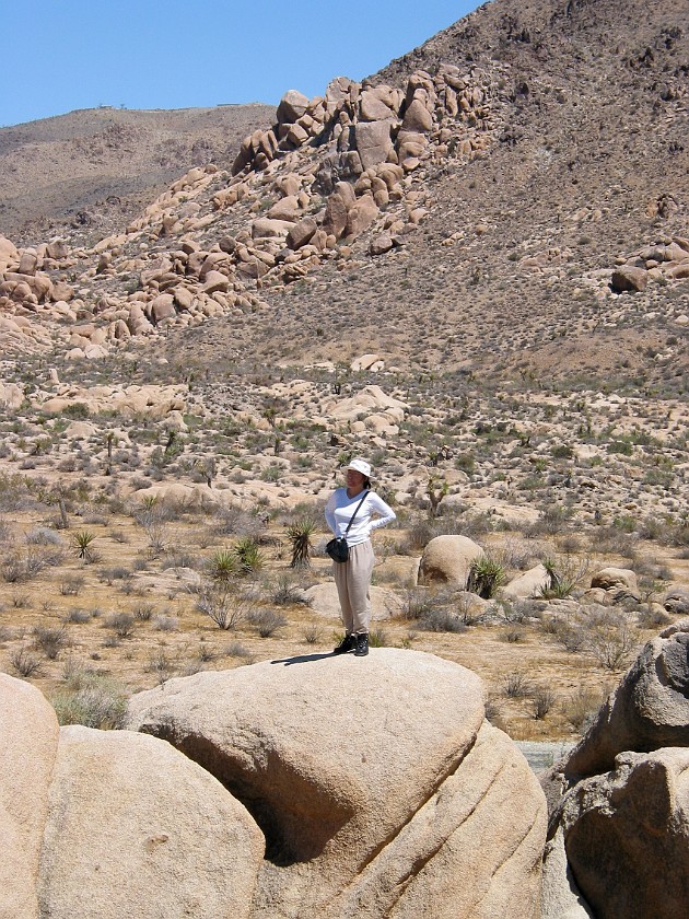 Joshua Tree National Park. White Tank Campground. Joshua Tree National Park. .