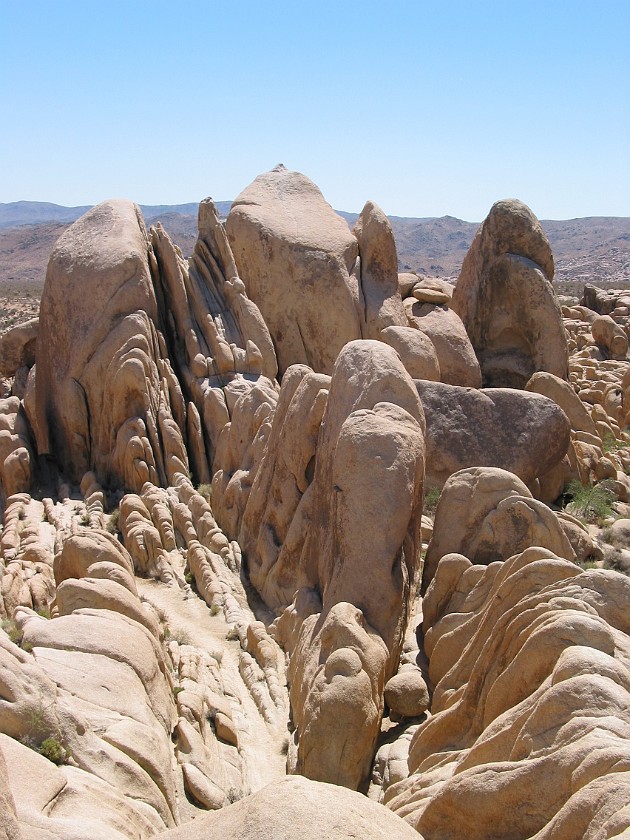 Joshua Tree National Park. White Tank Campground. Joshua Tree National Park. .