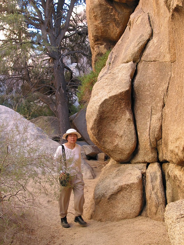 Joshua Tree National Park. Hidden Valley. Joshua Tree National Park. .