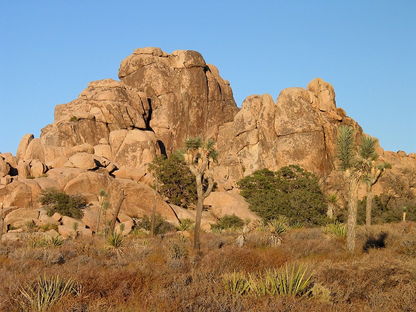 Joshua Tree National Park. Hidden Valley. Joshua Tree National Park. .