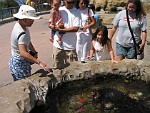 Birch Aquarium, San Diego, California