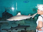 Birch Aquarium, San Diego, California