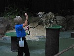 San Diego Zoo, San Diego, California