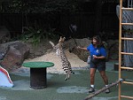 San Diego Zoo, San Diego, California