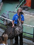 San Diego Zoo, San Diego, California