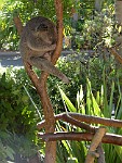 San Diego Zoo, San Diego, California