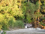 San Diego Zoo, San Diego, California