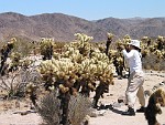 Joshua Tree National Park, California