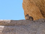 Joshua Tree National Park, California