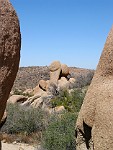 Joshua Tree National Park, California
