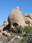 Joshua Tree National Park, California