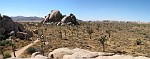Joshua Tree National Park, California