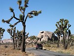 Joshua Tree National Park, California