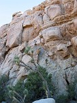 Joshua Tree National Park, California