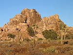 Joshua Tree National Park, California