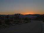 Joshua Tree National Park, California