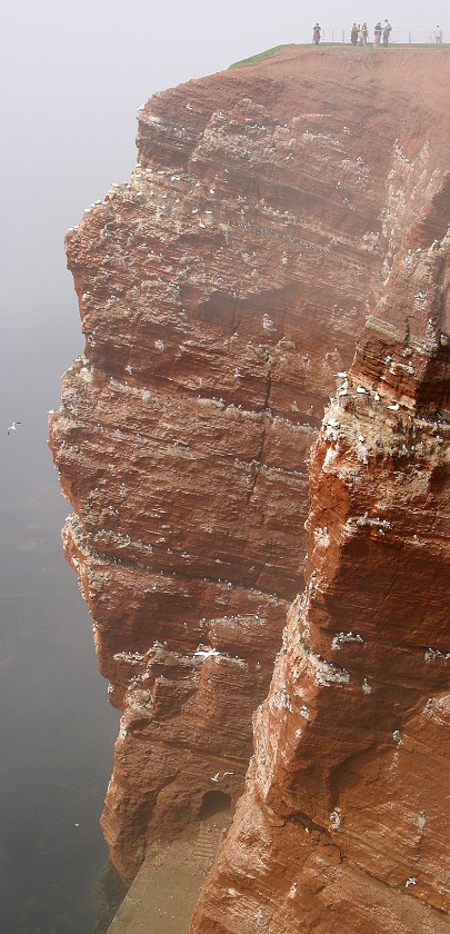 Helgoland. Cliff. Helgoland. .