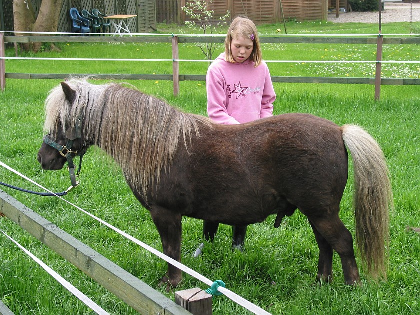 Father's Farm at Bremsburg. Pony Oskar. Bremsburg. .