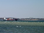 NGER081