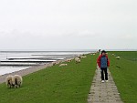 NGER143