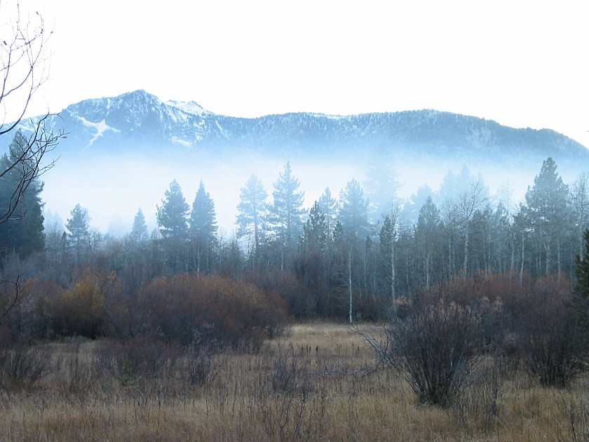 Lake Tahoe and the Surrounding Area. Forest near Taylor Creek, South Lake Tahoe. Lake Tahoe. .