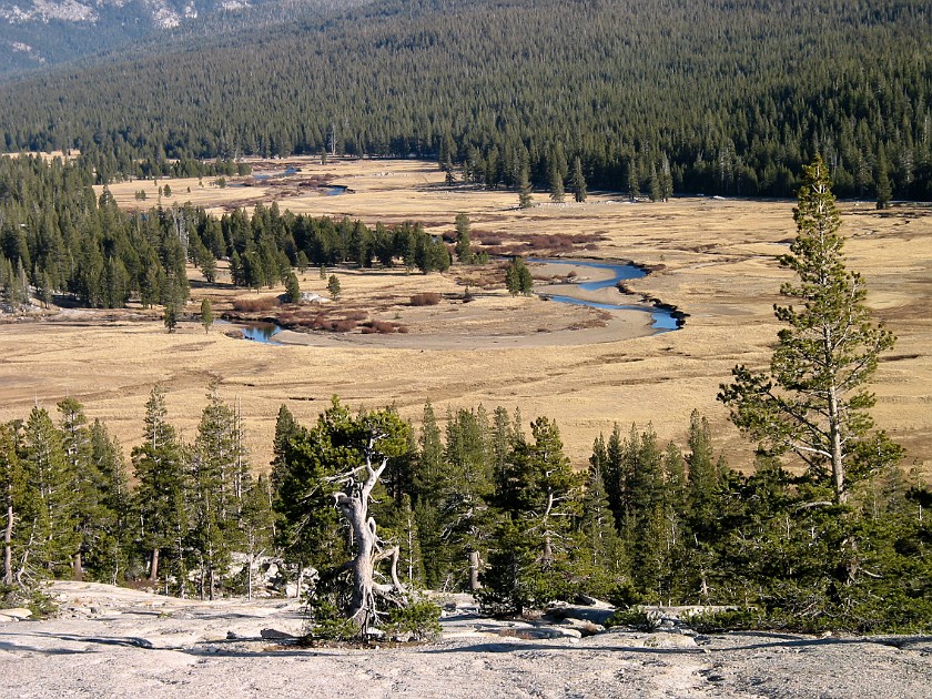 Yosemite National Park. Tuolumne Meadows. Yosemite National Park. .