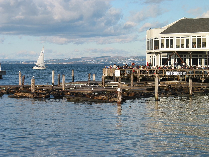 San Francisco. Pier 39 at Fisherman's Wharf. San Francisco. .